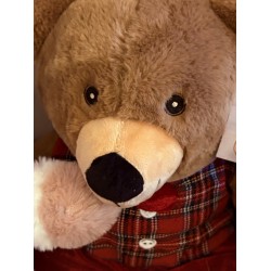 Bouquet Ours gourmand